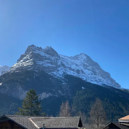 Beauty Grindelwald
